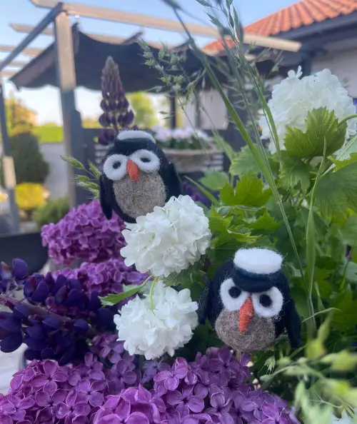 Søde studenter ugler i blå