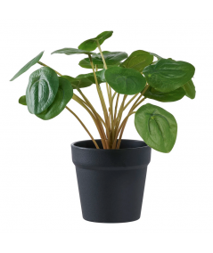 Kunstig Pelia plante