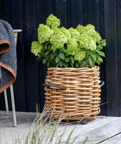 Rund rattankurv sæt m. 3 stk. forskellige størrelser inkl. poser