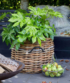 Rund rattankurv sæt m. 3 stk. forskellige størrelser inkl. poser