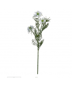 Nigella i hvid