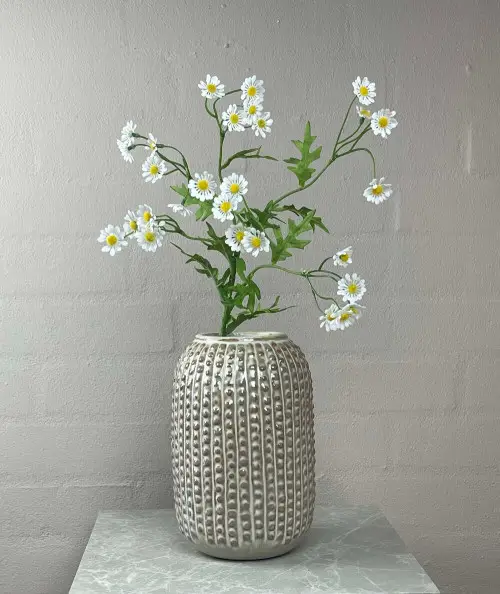 Kamille blomst i hvid