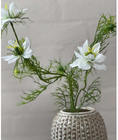 Nigella i hvid