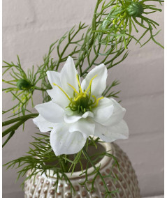 Nigella i hvid