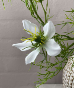 Nigella i hvid