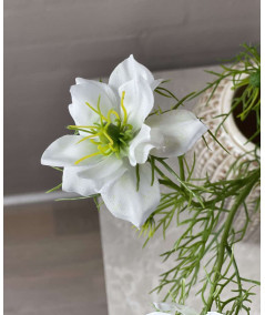 Nigella i hvid