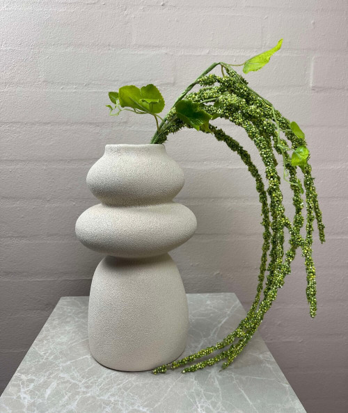 Amaranthus i grøn