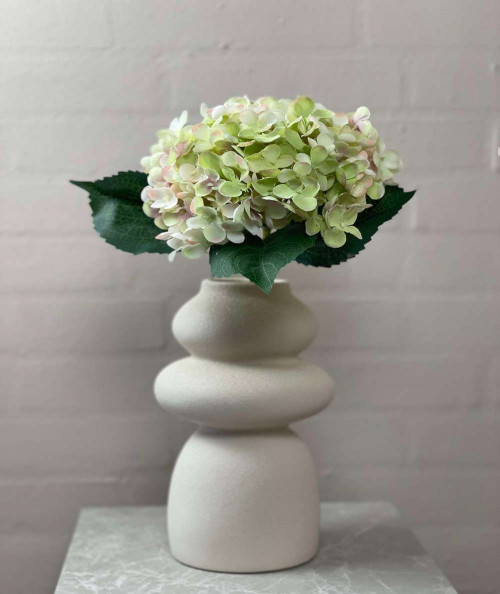 Hortensia i grøn/lysrosa