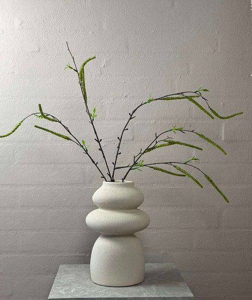 Salix lime