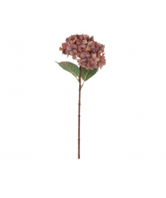 Hortensia copper