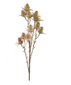 Tidsel brun/rosa