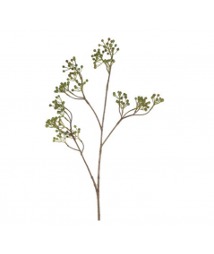 Ilex bærgren grøn
