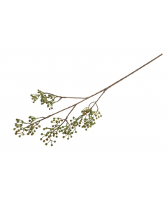 Ilex bærgren grøn
