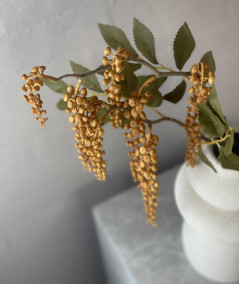 Phytolacca amber