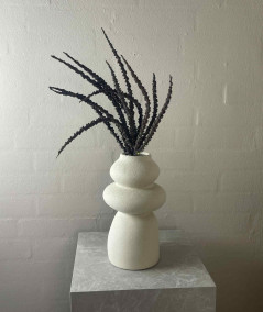 Trachycarpus brun
