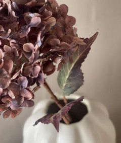 Hortensia copper