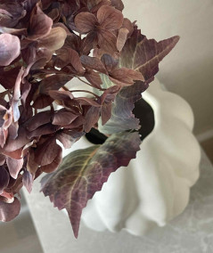 Hortensia copper