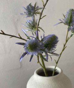 Tidsel purple