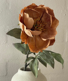Peony kamel