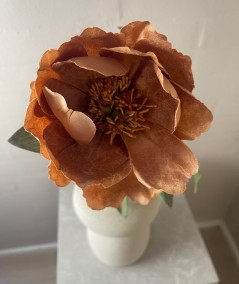 Peony kamel