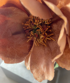 Peony kamel