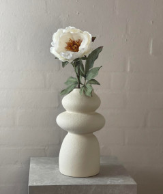 Peony creme