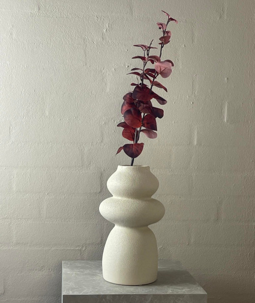 Eucalyptus bordeaux