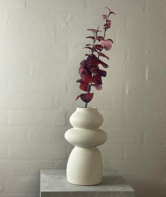 Eucalyptus bordeaux