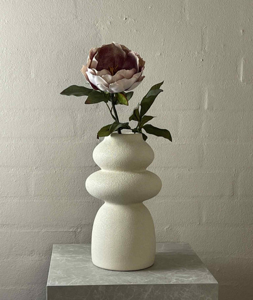 Peony sart rosa