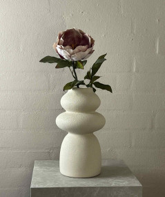 Peony sart rosa