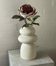 Peony sart rosa