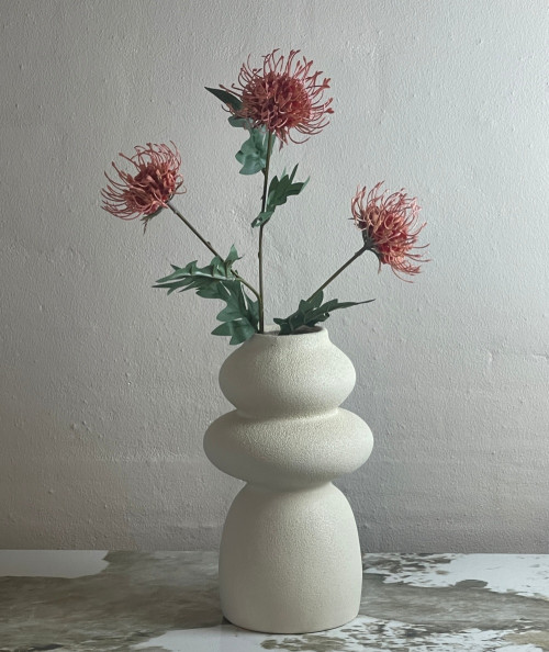 Protea peach