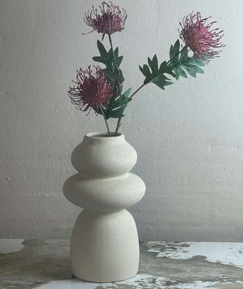 Protea fuchsia