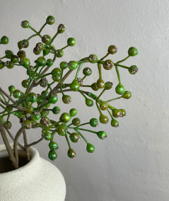 Ilex bærgren grøn
