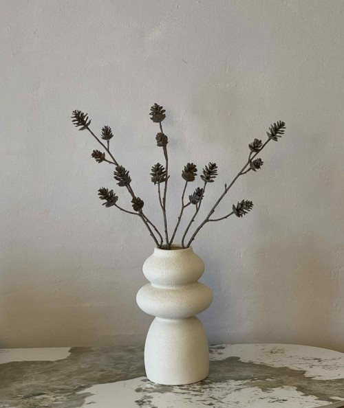 Kogle gren bundt af 3 stilke