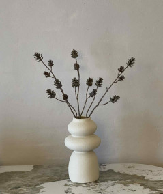 Kogle gren bundt af 3 stilke