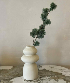 Ceder gran støvet grå