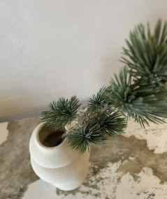 Ceder gran støvet grå