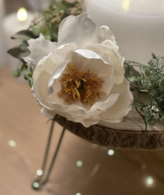 Rundt hjørnebord i træ med barkkant i 3 størrelser