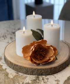 Rundt dekorationsfad i træ med barkkant i 5 størrelser