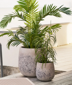 Græs plante i grøn H68 cm