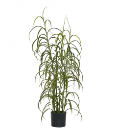 Græs plante i grøn H68 cm