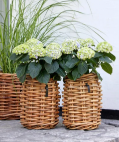 Mini rund rattankurv - inkl. pose