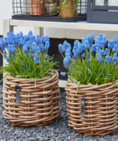 Mini low rund rattankurv (inkl. pose)