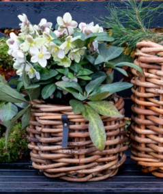 Mini low rund rattankurv (inkl. pose)