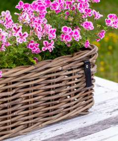 Maxi aflang bakke inkl. pose