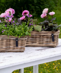 Mini aflang rattanbakke inkl. pose