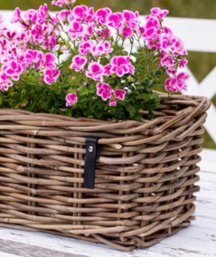 Midi aflang rattanbakke inkl. pose