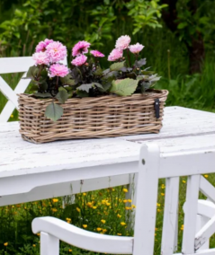 Midi aflang rattanbakke inkl. pose