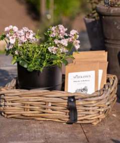 Midi firkantet rattanbakke